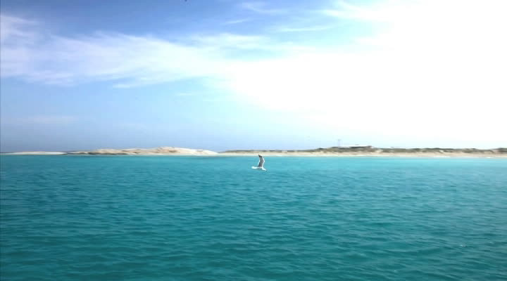 The Night Is Still Young