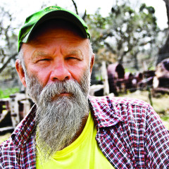 Seasick Steve