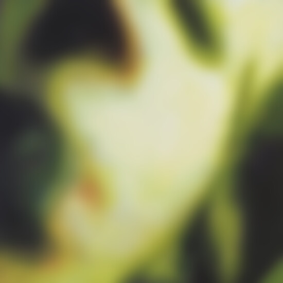 The Smashing Pumpkins | Musik | Pisces Iscariot
