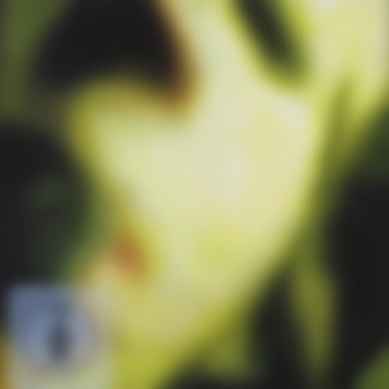 The Smashing Pumpkins | Musik | Pisces Iscariot