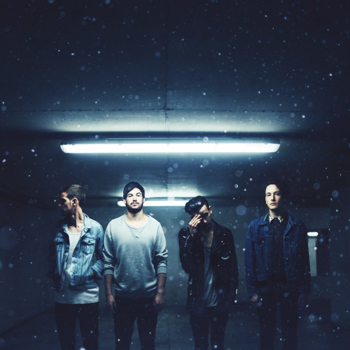 The 1975 Pressefoto 1