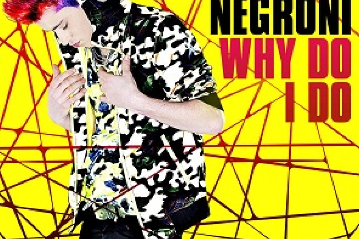 Single Cover "Why Do I do"