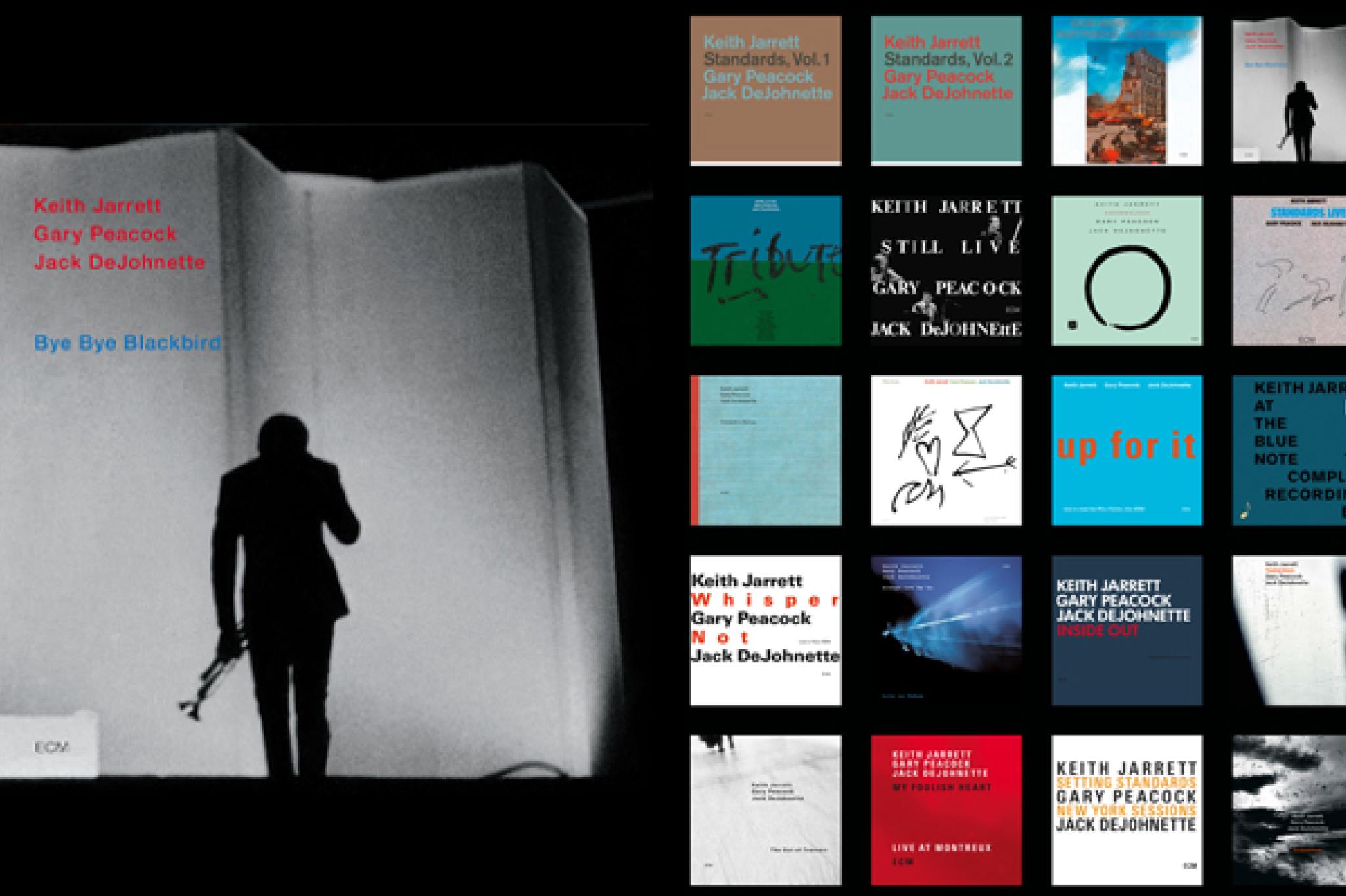 Cover Bye Bye Blackbird