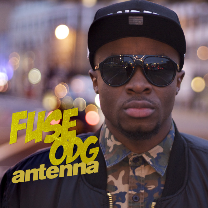 Fuse ODG Antenna Cover