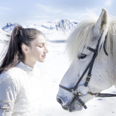 laleh 2013 2