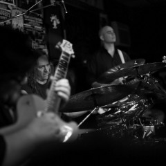 Volto 2013 1