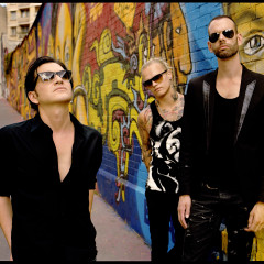 Placebo 2013