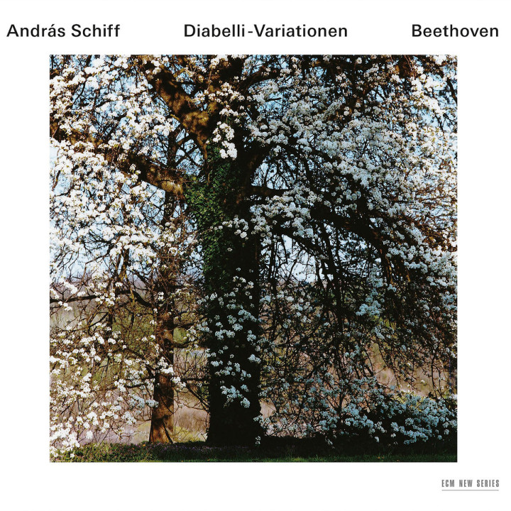 Ludwig van Beethoven: Diabelli-Variationen