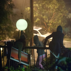 the bling ring 27