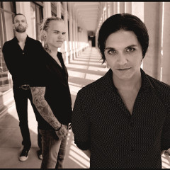 Placebo 2013