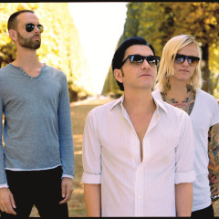Placebo 2013