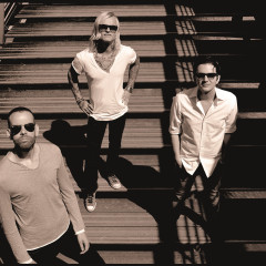 Placebo 2013