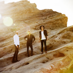 Placebo 2013