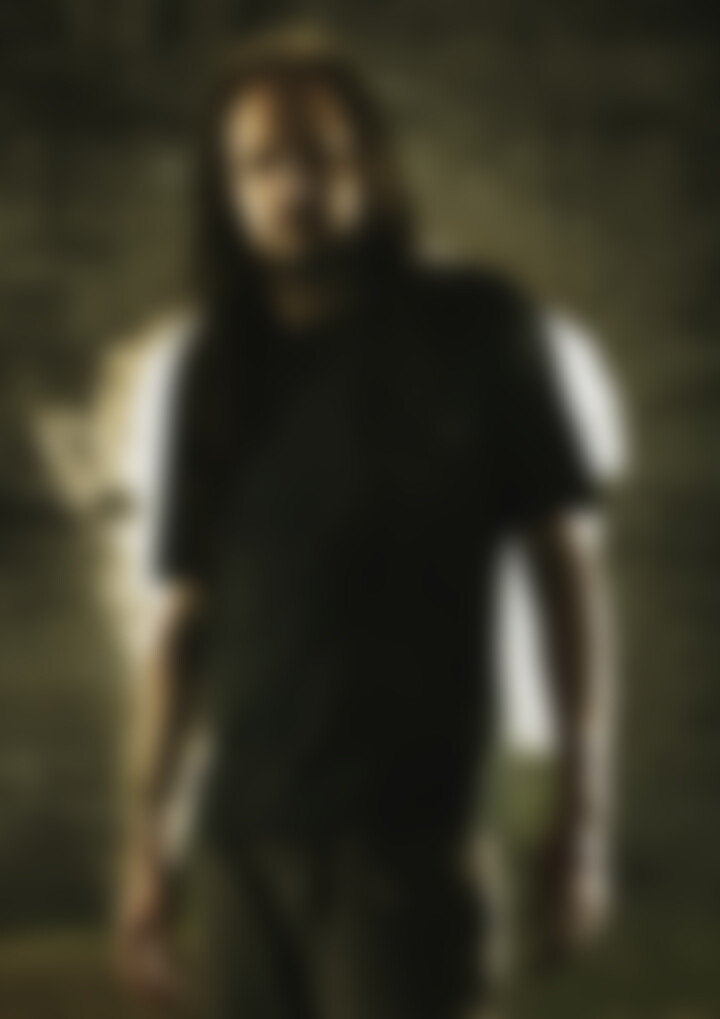 Korn 2013 3