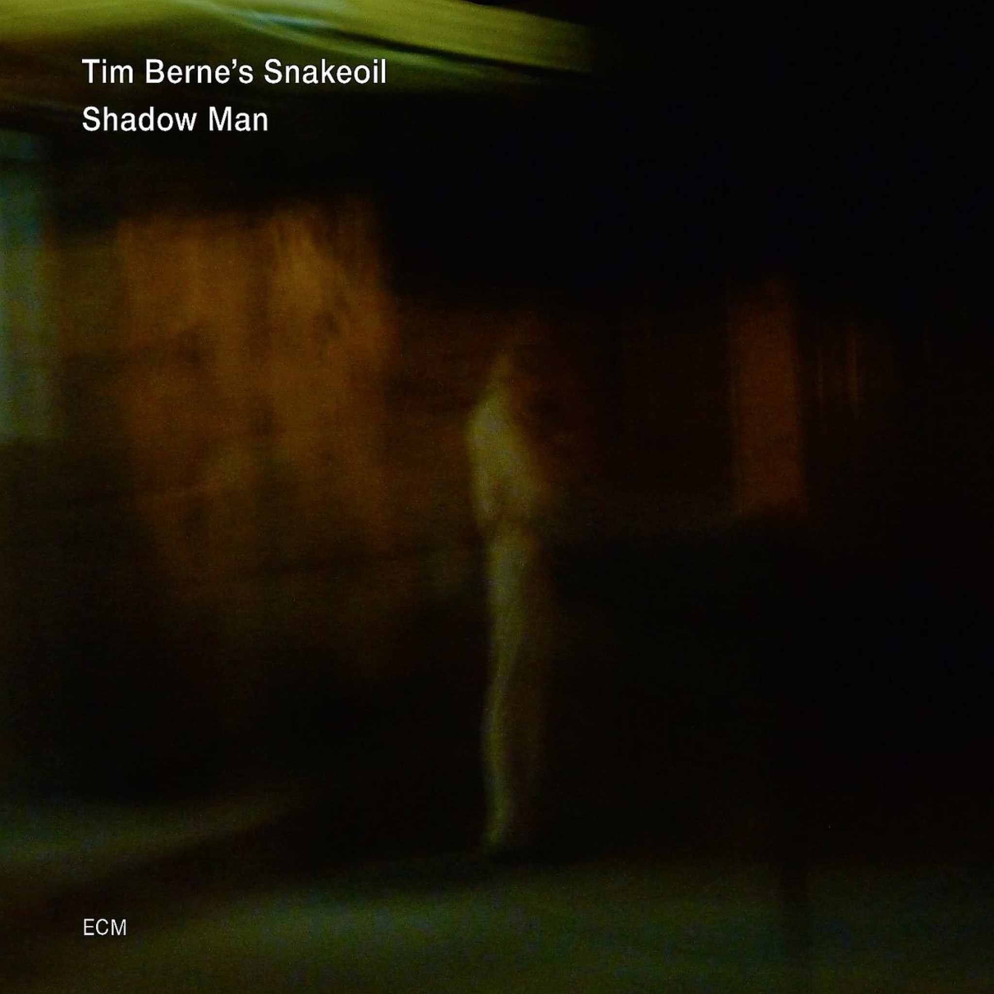 Shadow Man: Tim Berne's Snakeoil