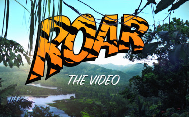 Roar (Queen Of The Jungle Teaser)