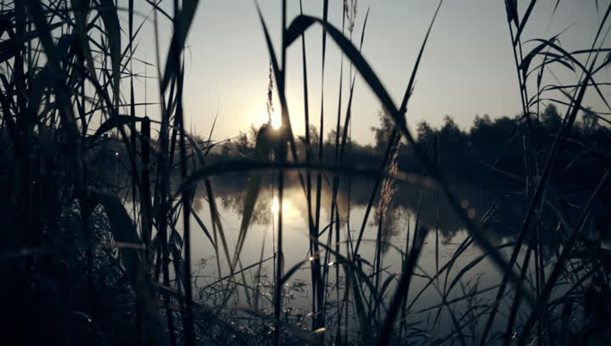 Stefano Bollani & Hamilton de Hollanda: "Caprichos De Espanha"