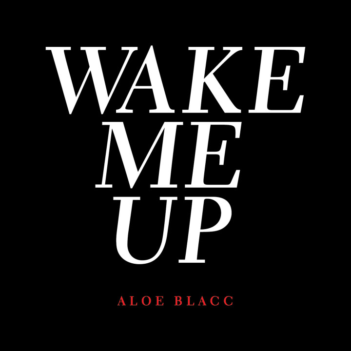 Wake Me Up Cover