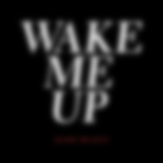 Aloe Blacc | Musik | Wake Me Up