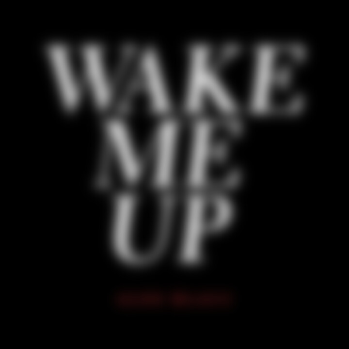 Wake Me Up Cover