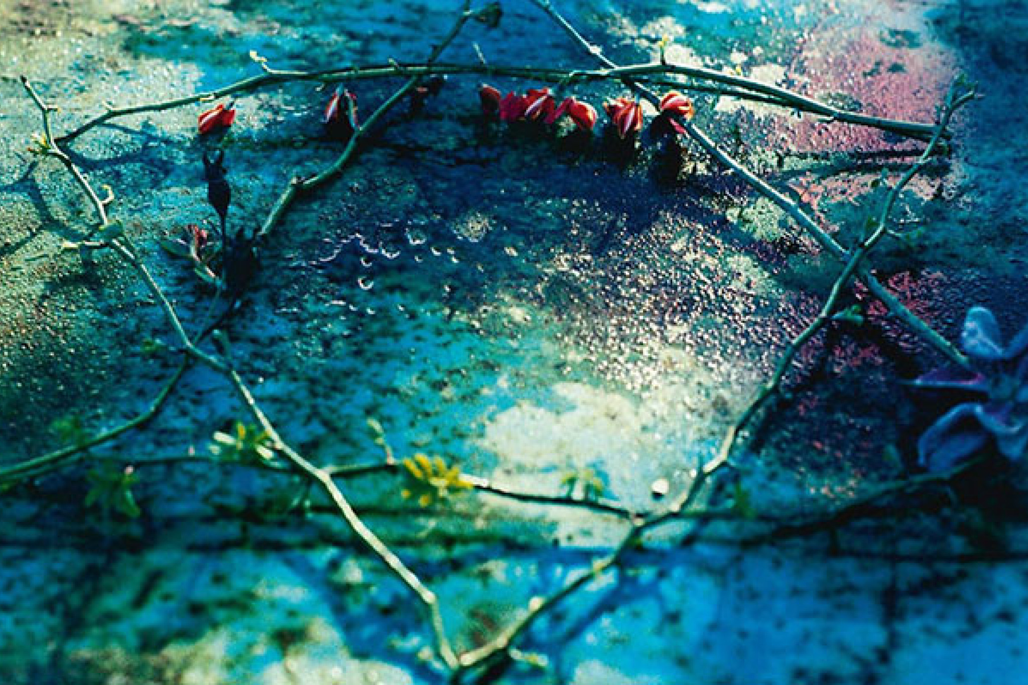 Musik als Zuflucht – Kompositionen aus Theresienstadt