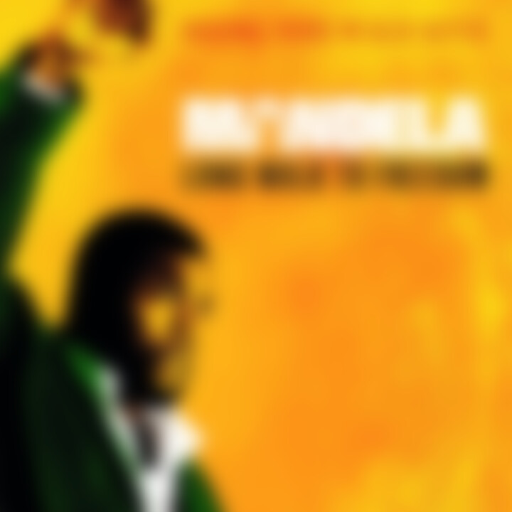 Mandela - Long Walk To Freedom (Original Score): Heffes,Alex