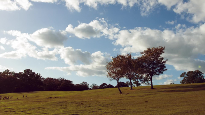 Autumn 3 Fear of Tiger Remix | Recomposed by Max Richter: Vivaldi, The Four Seasons