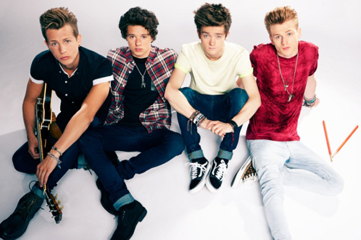 The Vamps 2015 groß