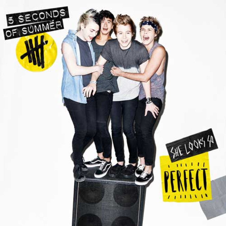 5 seconds of summer she looks so perfect