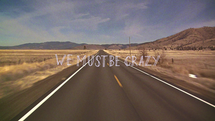 We Must Be Crazy (Lyric Video)