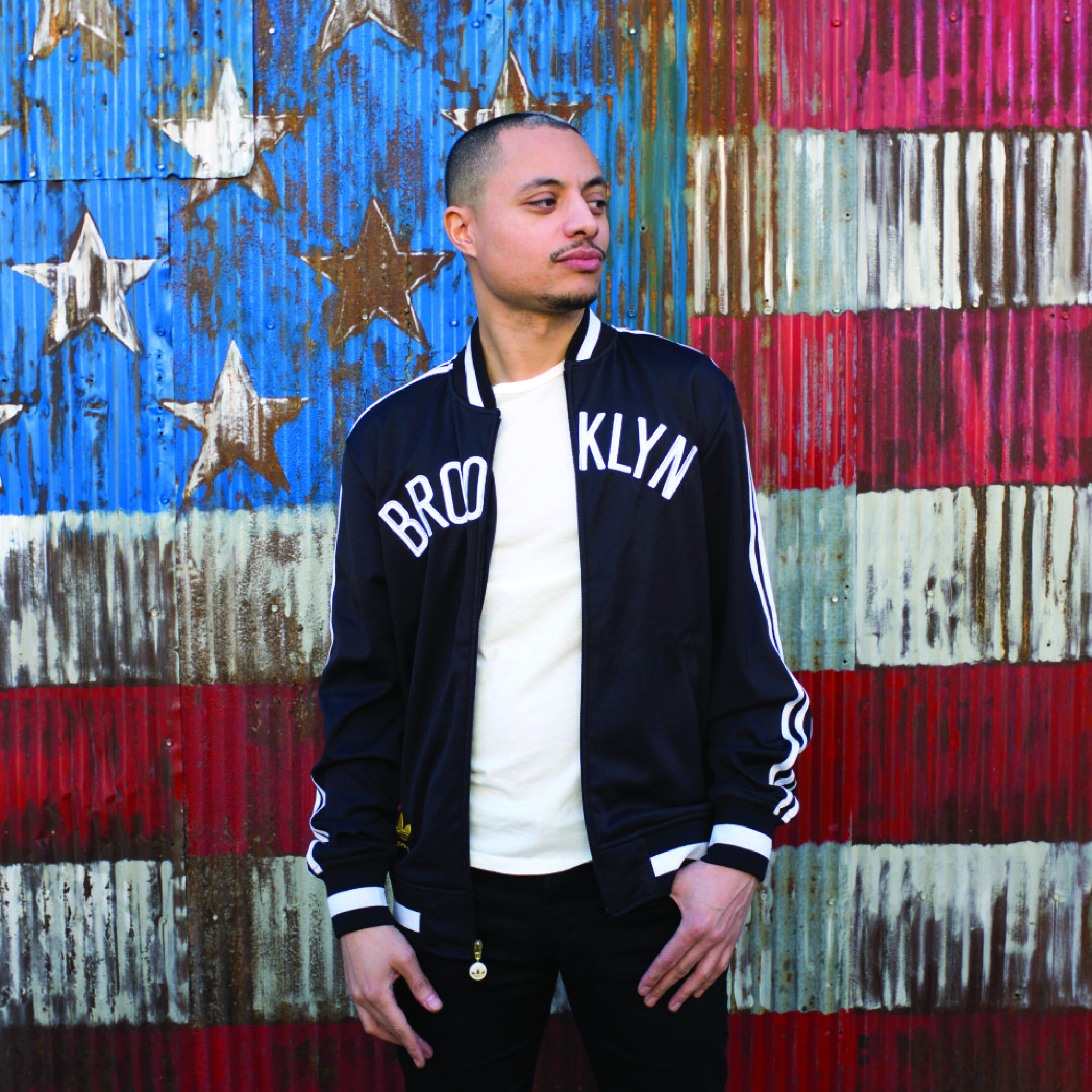 José James, While You Were Sleeping