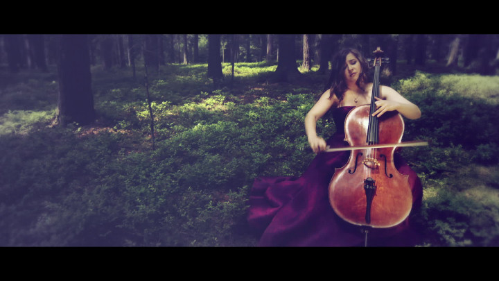 Cellokonzert h-moll - I. Allegro (Ausschnitt)