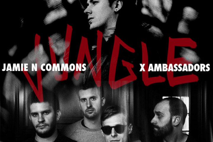 Jungle - X Ambassadors And Jamie N Commons