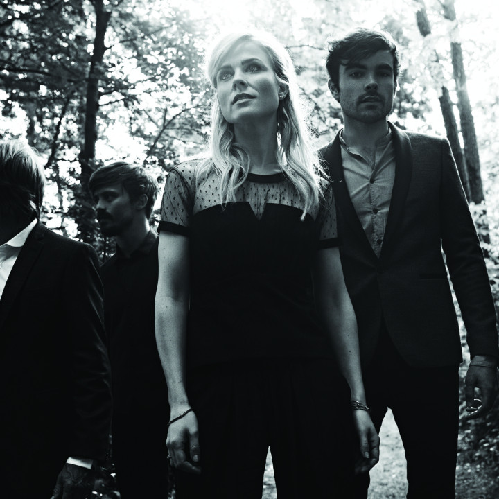 The Common Linnets 2014