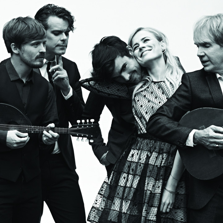 The Common Linnets 2014