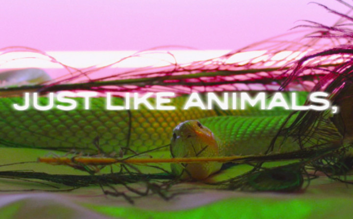Animals (Lyric Video)