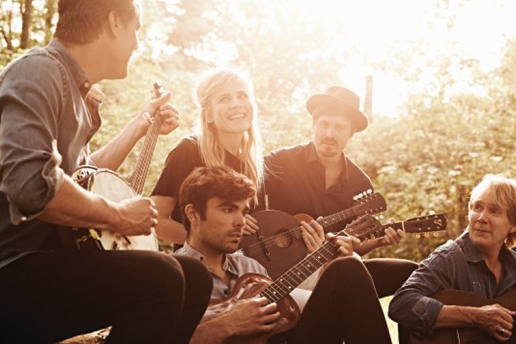 The Common Linnets Foto 3 2014