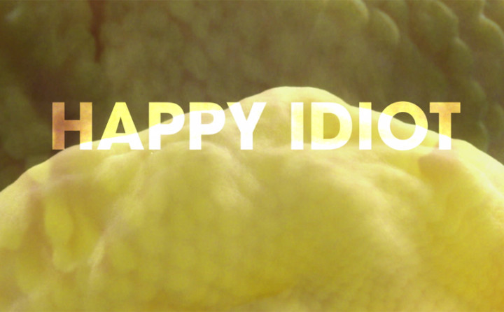 Happy Idiot (Lyric Video)