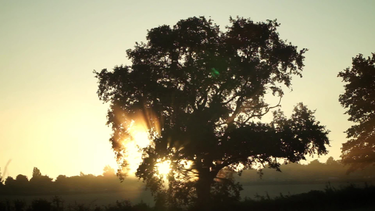 Taize - Music of Unity and Peace (Trailer)