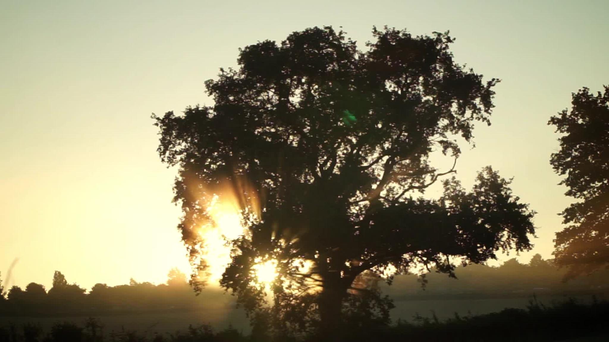 Taize - Music of Unity and Peace (Trailer)