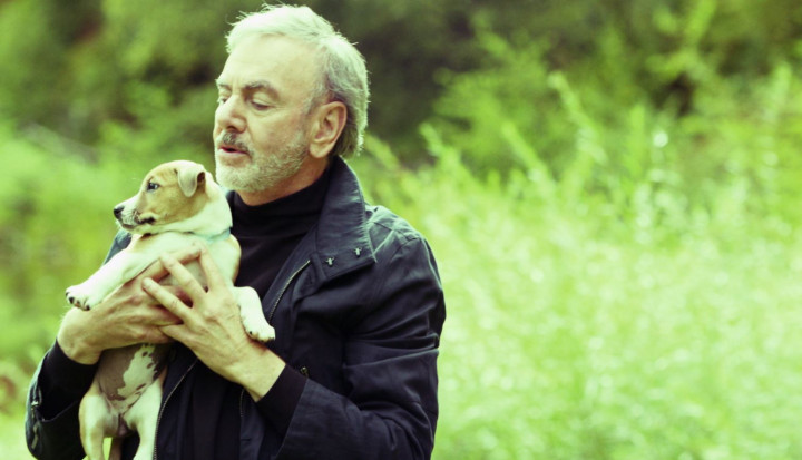 Something Blue (Puppy Outtakes)