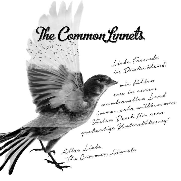 The Common Linnets Cover Special Version