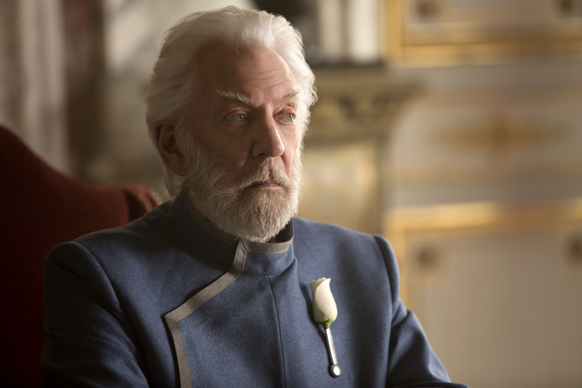 Tribute von Panem - Mockingjay - Part 1 - 2014