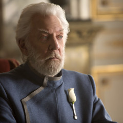 Tribute von Panem – Mockingjay – Part 1 – 2014
