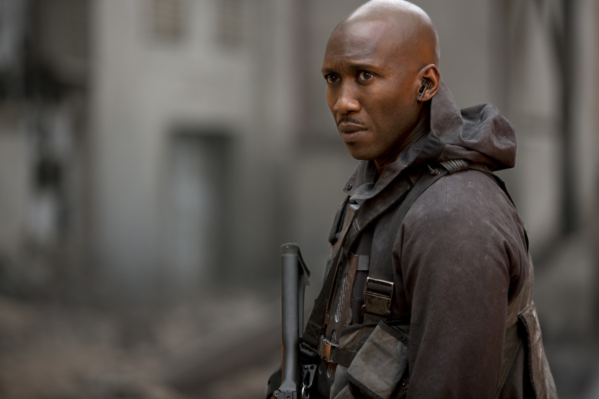 Tribute von Panem - Mockingjay - Part 1 - 2014