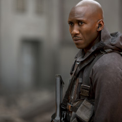 Tribute von Panem – Mockingjay – Part 1 – 2014