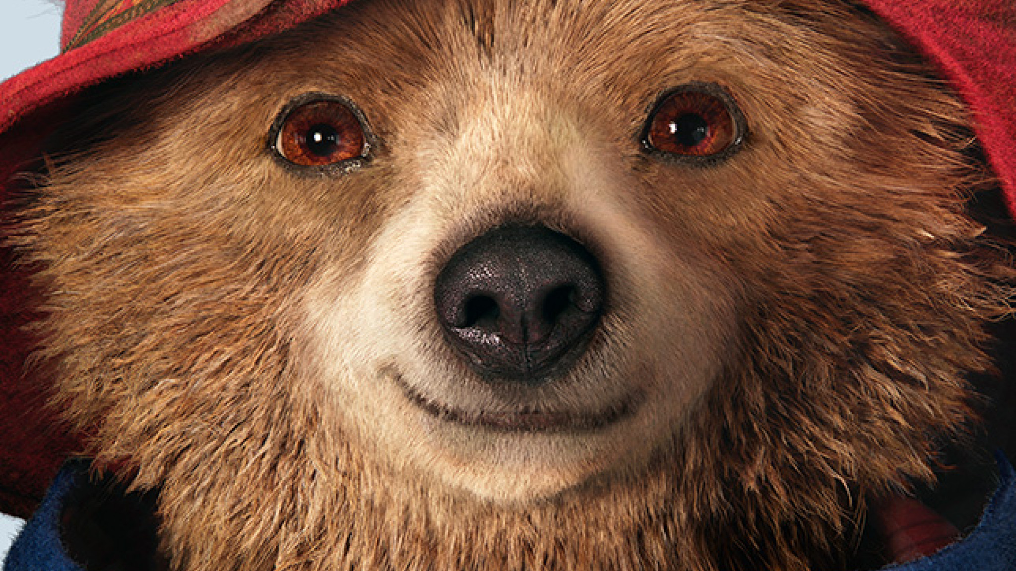 Bärenstarker Soundtrack - Mit Paddington von Peru nach London