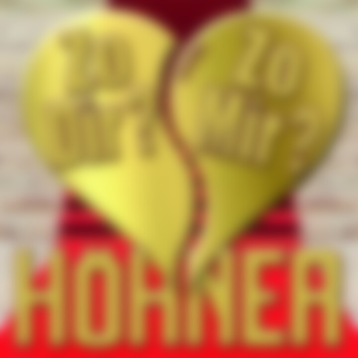 höhner single 2015
