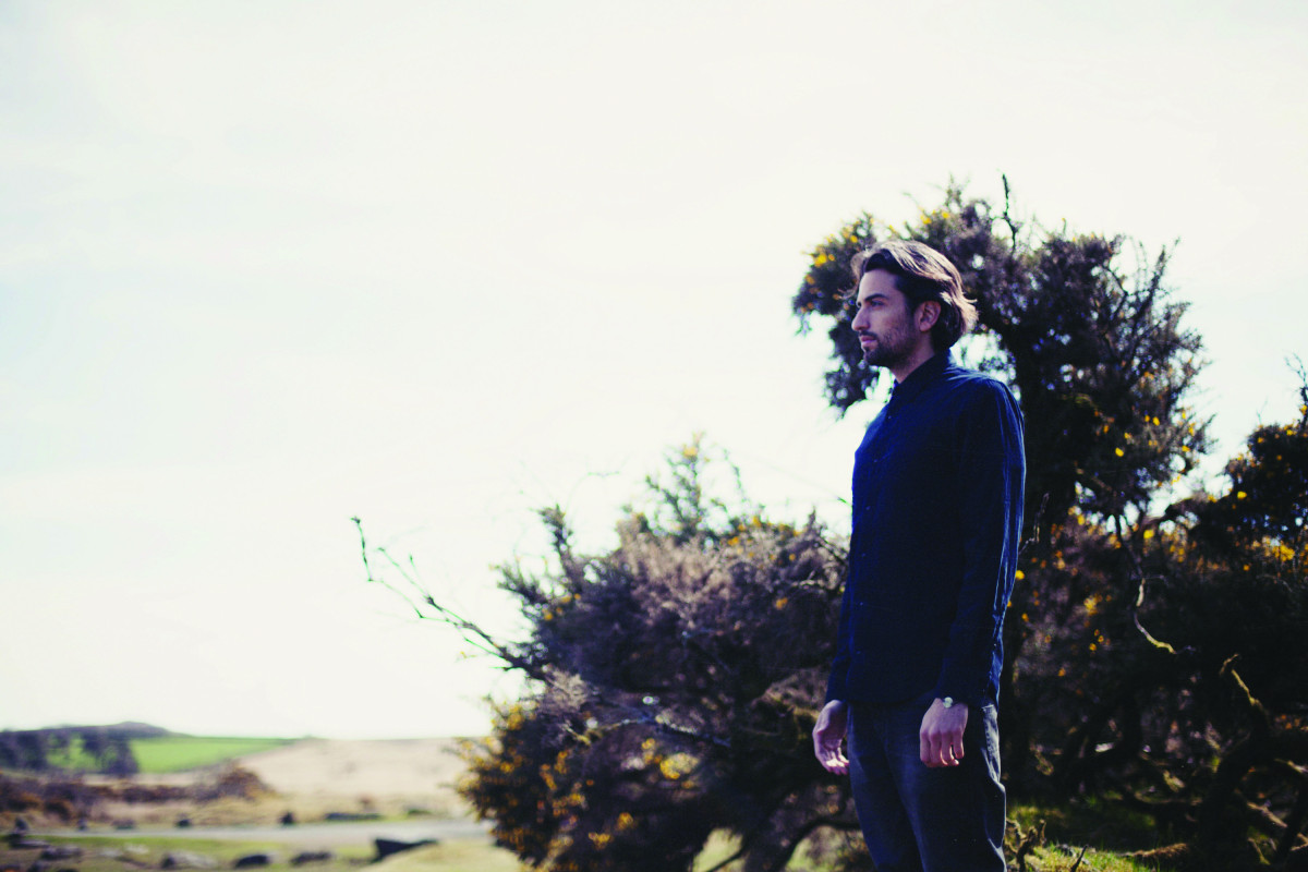 Dotan 2014
