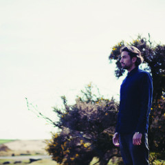 Dotan 2014